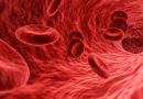 Can the color of blood be green or blue?